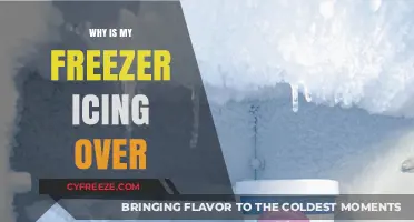 Chill Issues: Understanding and Fixing Freezer Icing Problems