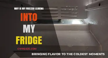 Why Is My Freezer Leaking into My Fridge? Causes and Solutions