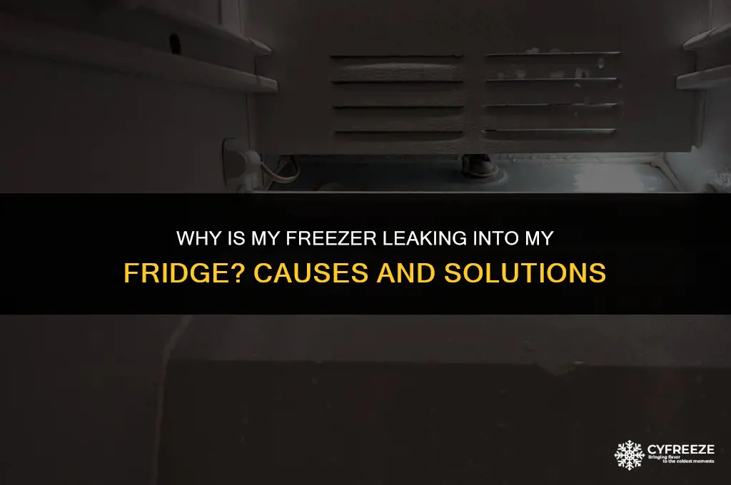 why is my freezer leaking into my fridge
