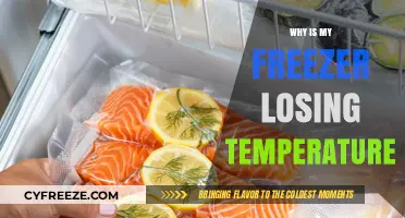 Why Your Freezer is Losing Temperature: Common Causes and Fixes