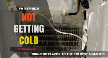 Why Your Freezer Isn't Cooling: Common Causes and Quick Fixes