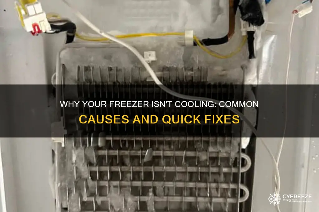 why is my freezer not getting cold