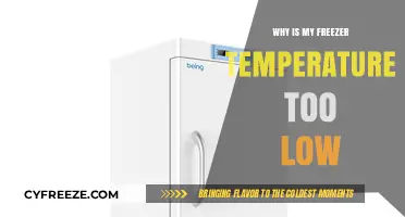 Why Your Freezer Temperature is Too Low: Causes and Fixes