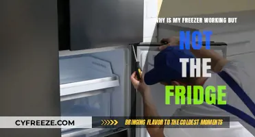 Troubleshooting Your Kitchen: Freezer Fine, Fridge Not So Much?