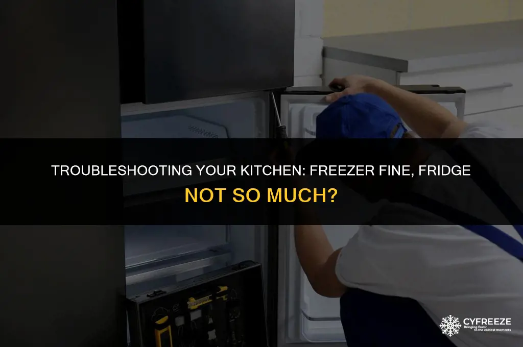 why is my freezer working but not the fridge