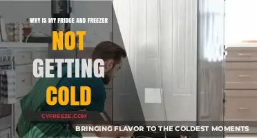 Troubleshooting Tips: Why Your Fridge and Freezer Aren't Cooling Properly