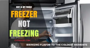 Troubleshooting Your Fridge Freezer: Why It's Not Freezing Properly