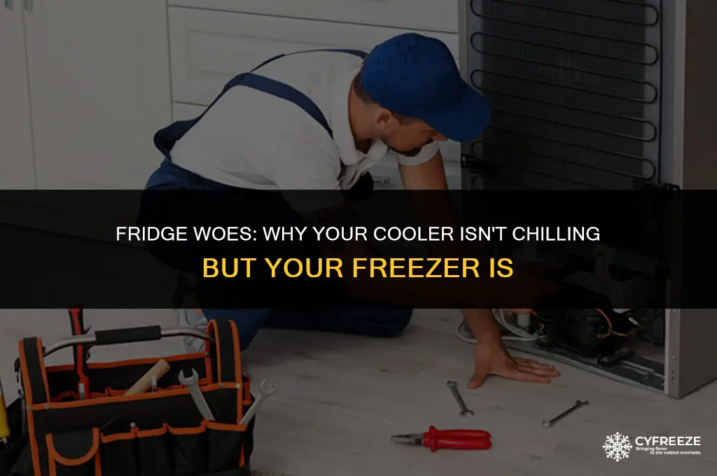 why is my fridge not cooling but my freezer is