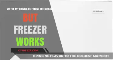 Troubleshooting Your Frigidaire: Fridge Not Cooling, Freezer Works