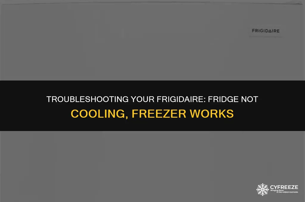 why is my frigidaire fridge not cooling but freezer works