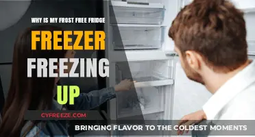 Troubleshooting Frost Buildup in Your Frost-Free Fridge Freezer