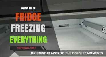 Troubleshooting Your GE Fridge: Why Is Everything Freezing?