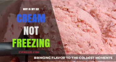 Troubleshooting Your Ice Cream: Why It's Not Freezing and How to Fix It
