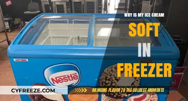 The Scoop on Soft Ice Cream: Freezer Fixes and Tips