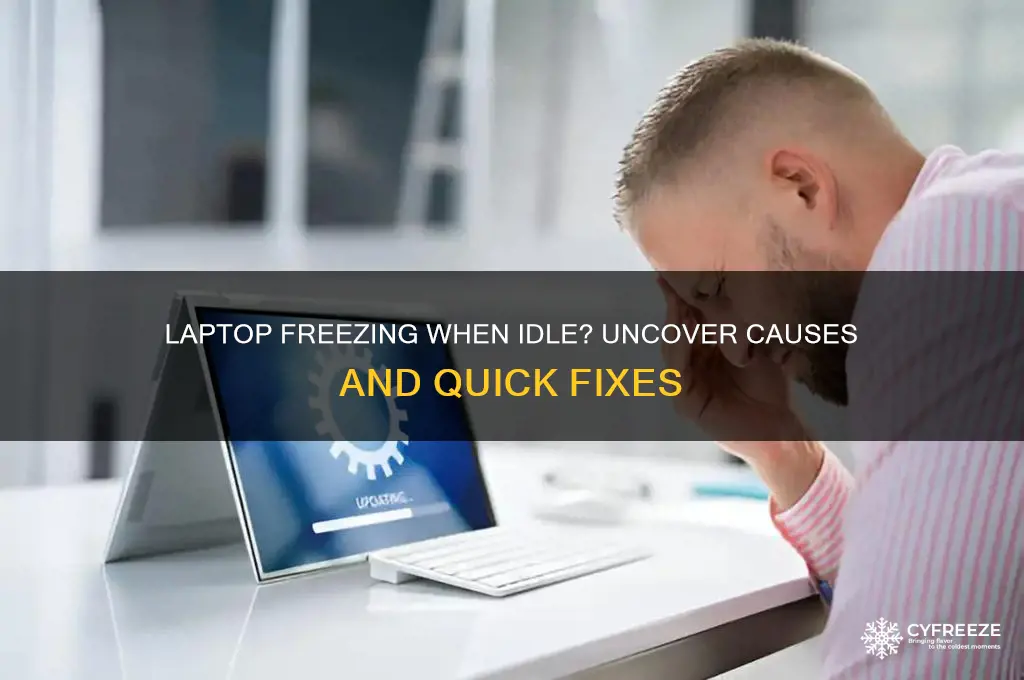 why is my laptop freezing when i dont use it