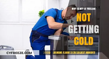 Troubleshooting Your LG Freezer: Why It's Not Getting Cold Enough