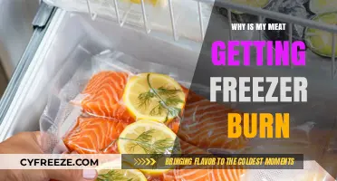 Preventing Freezer Burn: How to Keep Your Meat Fresh and Tasty