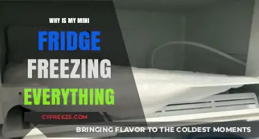 Chill Out: Troubleshooting Your Mini Fridge's Over-Freezing Issue
