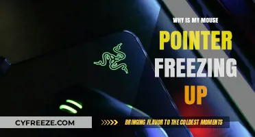 Why Your Mouse Pointer Freezes: Troubleshooting Tips and Fixes