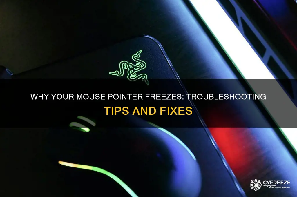 why is my mouse pointer freezing up