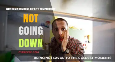 Troubleshooting Samsung Freezer: Why Isn't the Temperature Dropping?