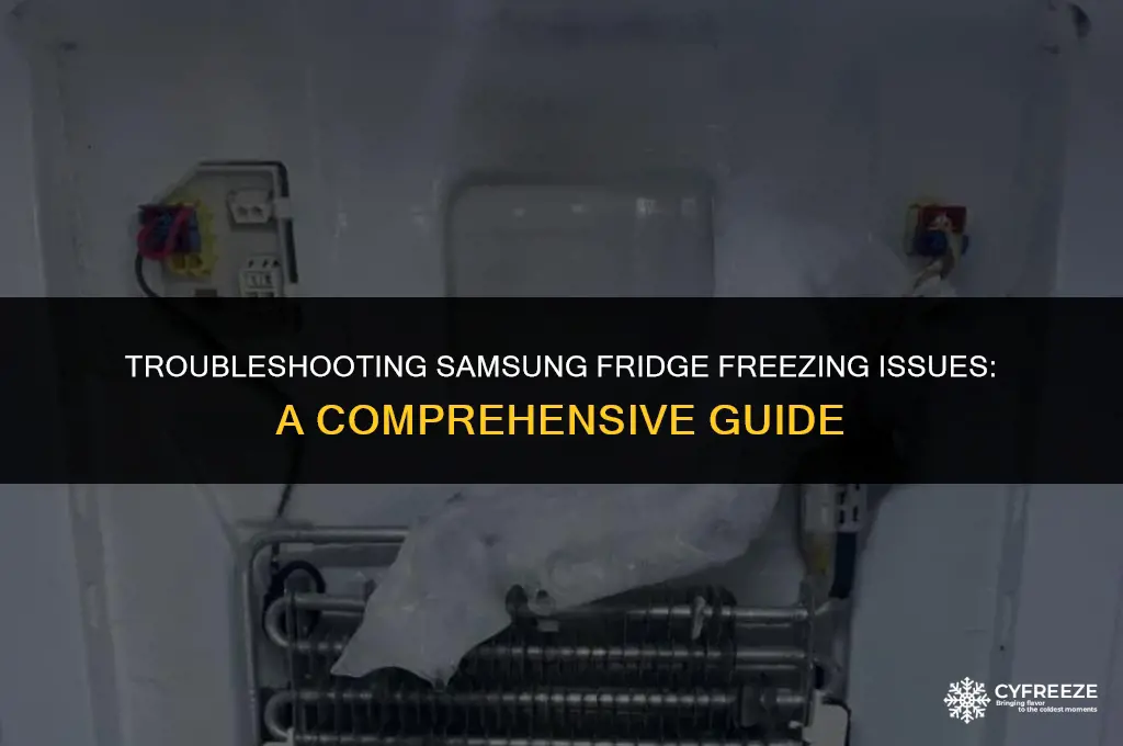 why is my samsung fridge freezing up in the back