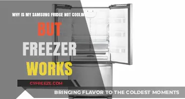 Samsung Fridge Not Cooling: Troubleshooting Tips When Freezer Works