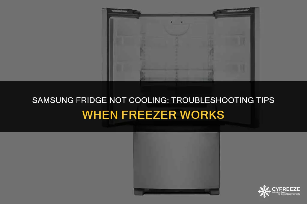 why is my samsung fridge not cooling but freezer works