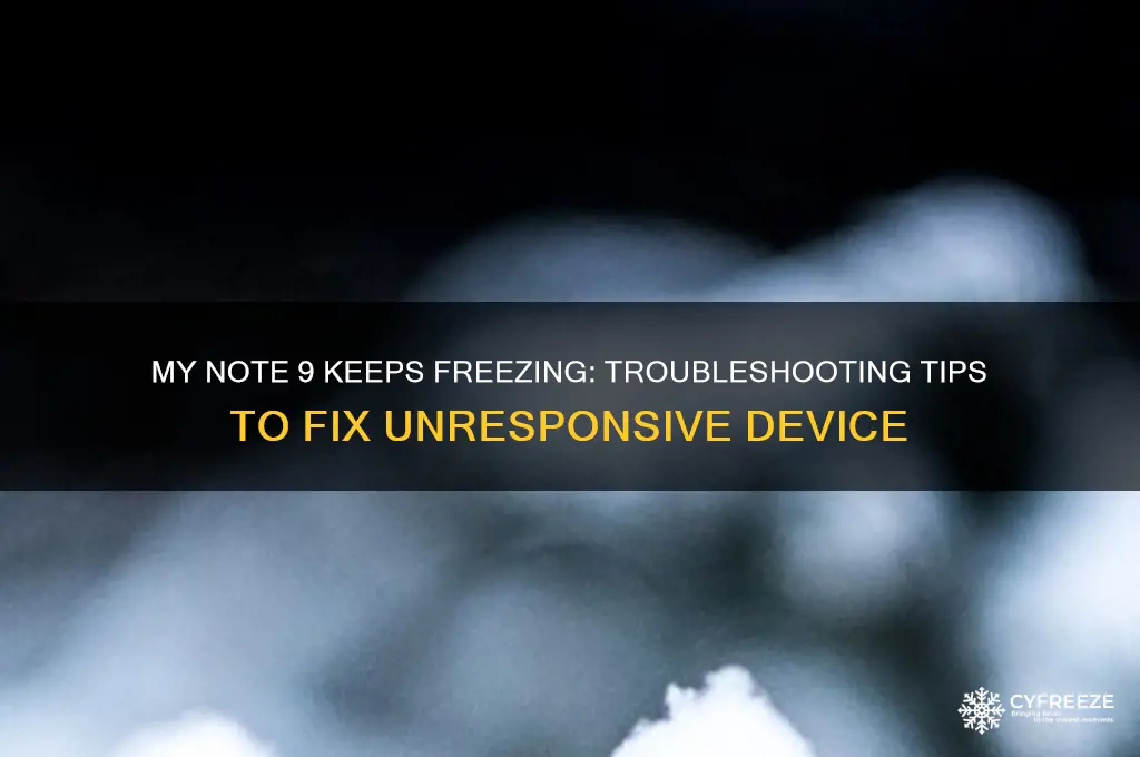 why is mybnote 9 freezing cant use at all