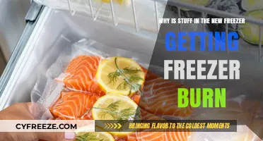 Preventing Freezer Burn: Tips to Keep Your New Freezer Food Fresh
