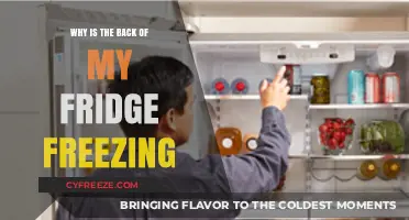 Chill Mystery: Why the Back of Your Fridge Might Be Freezing
