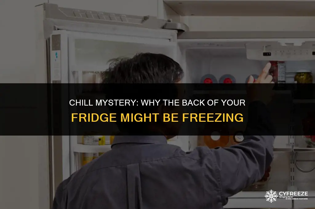 why is the back of my fridge freezing