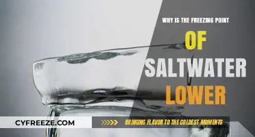 Why Saltwater Freezes at Lower Temperatures: The Science Explained