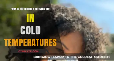 iPhone X Freezing in Cold Weather: Causes and Solutions
