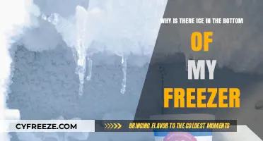 Chilled Mysteries: Understanding the Icy Buildup in Your Freezer