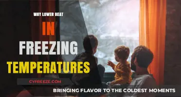 Lower Heat Settings in Freezing Temps: Energy-Saving Tips for Winter Comfort