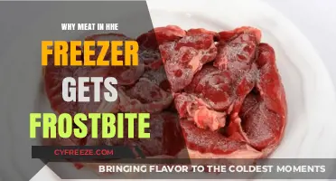 Why Freezer Burn Ruins Meat: Causes and Prevention Tips