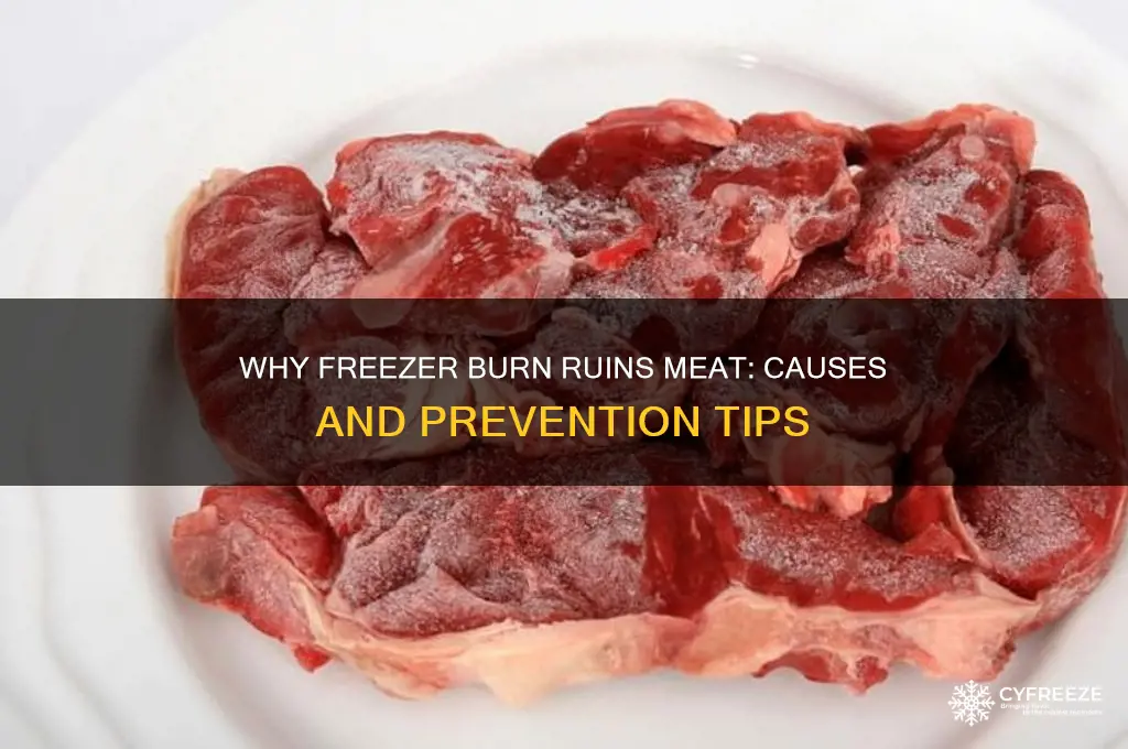 why meat in hhe freezer gets frostbite