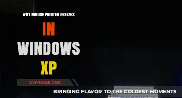 Troubleshooting Windows XP: Why Your Mouse Pointer Freezes and How to Fix It