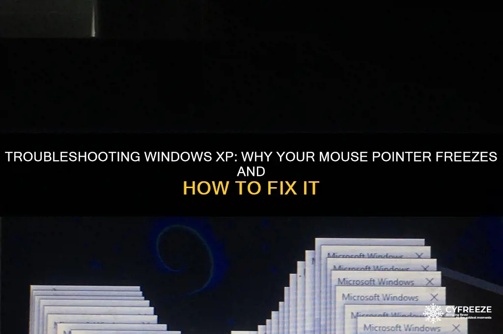 why mouse pointer freezes in windows xp