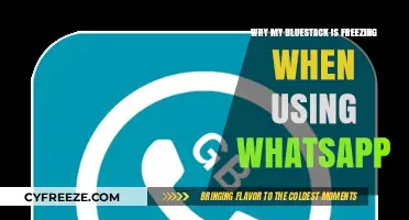 Troubleshooting Bluestacks Freezing Issues While Using WhatsApp: Quick Fixes