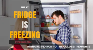 Chill Out: Troubleshooting Your Overly Cold Refrigerator