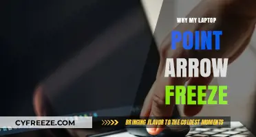 Why Your Laptop Cursor Freezes: Common Causes and Fixes