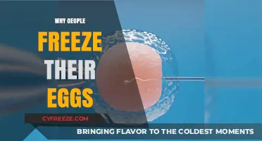 Preserving Fertility: The Empowering Choice to Freeze Eggs