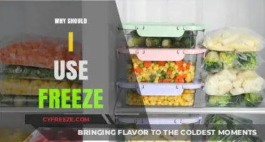 Why Freeze is Your Ultimate Solution for Food Preservation and Savings