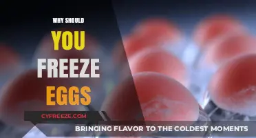 Future-Proof Your Fertility: The Benefits of Egg Freezing