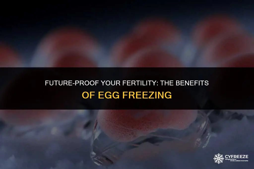 why should you freeze eggs