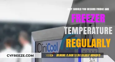 Regular Fridge and Freezer Temperature Checks: Ensuring Food Safety and Efficiency