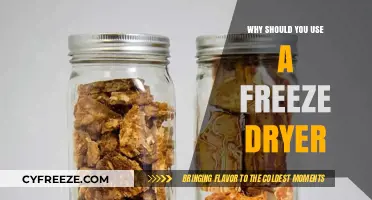 Preserve Food Longer: The Benefits of Using a Freeze Dryer