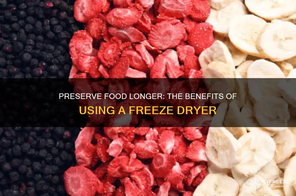 why should you use a freeze dryer